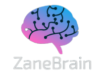 ZaneBrain- Custom WordPress Solutions That Work—No Tech Headaches.